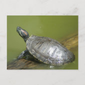 DSC04275 POSTKARTE (Vorderseite)