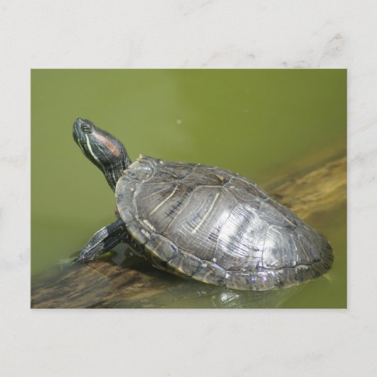 DSC04275 POSTKARTE (Vorderseite)