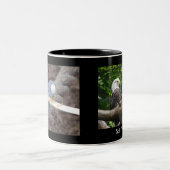 DSC04582, DSC04495, Sallys Tasse (Mittel)