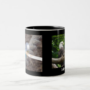 DSC04582, DSC04495, Sallys Tasse