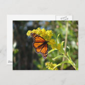 DSC05261 POSTKARTE (Vorne/Hinten)