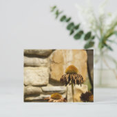 DSC06868 POSTKARTE (Stehend Vorderseite)