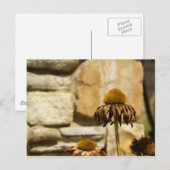 DSC06868 POSTKARTE (Vorne/Hinten)