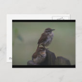 DSC07310 POSTKARTE (Vorne/Hinten)