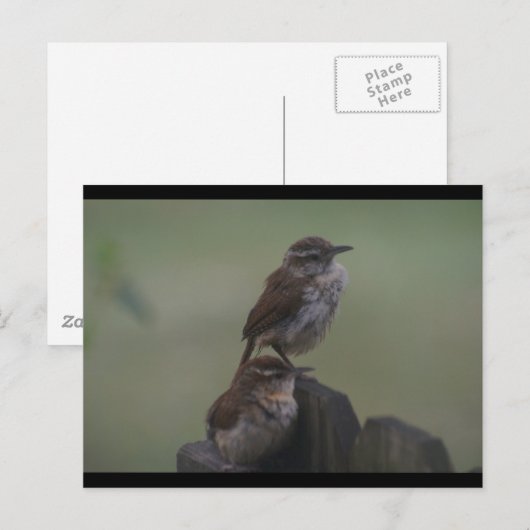 DSC07310 POSTKARTE (Vorne/Hinten)