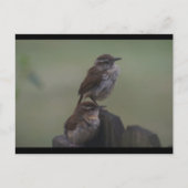 DSC07310 POSTKARTE (Vorderseite)