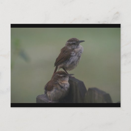 DSC07310 POSTKARTE (Vorderseite)