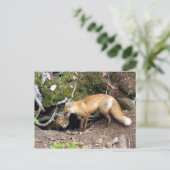 DSC08270-Kopie Postkarte (Stehend Vorderseite)