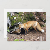 DSC08270-Kopie Postkarte (Vorne/Hinten)