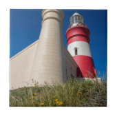 _DSC2418 FLIESE (Vorderseite)