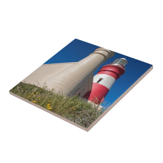 _DSC2418 FLIESE (Seite)