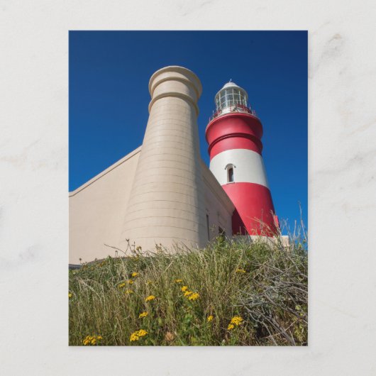 _DSC2418 POSTKARTE (Vorderseite)