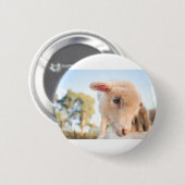 _DSC2491 BUTTON (Vorne & Hinten)