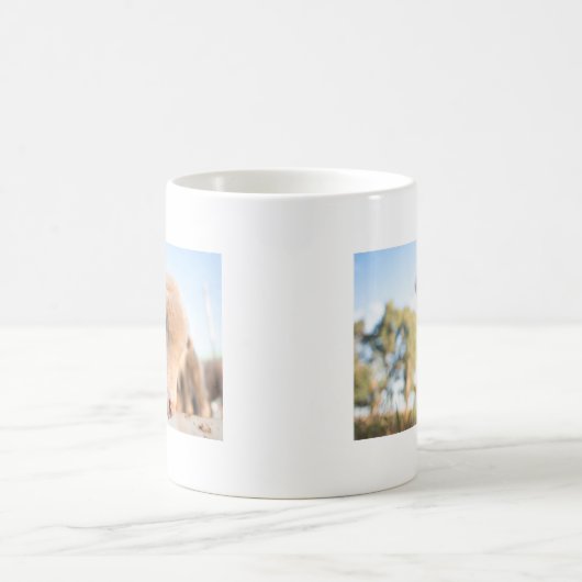 _DSC2491 KAFFEETASSE (Mittel)