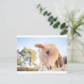 _DSC2491 POSTKARTE (Stehend Vorderseite)