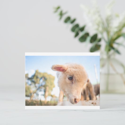 _DSC2491 POSTKARTE (Stehend Vorderseite)