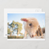 _DSC2491 POSTKARTE (Vorne/Hinten)