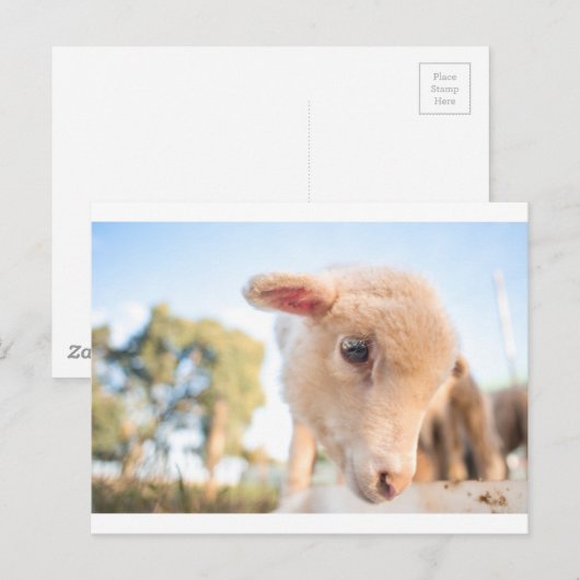 _DSC2491 POSTKARTE (Vorne/Hinten)