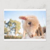 _DSC2491 POSTKARTE (Vorderseite)