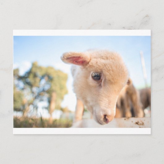 _DSC2491 POSTKARTE (Vorderseite)