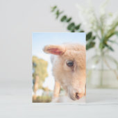 _DSC2491 POSTKARTE (Stehend Vorderseite)