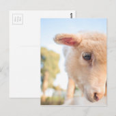 _DSC2491 POSTKARTE (Vorne/Hinten)