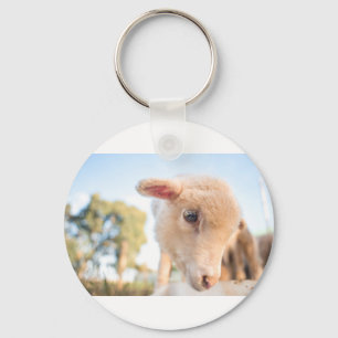 _DSC2491 SCHLÜSSELANHÄNGER