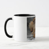 DSC_0014a, BRÜSSEL, GRIFFON Tasse (Links)