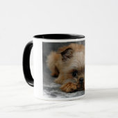 DSC_0014a, BRÜSSEL, GRIFFON Tasse (Vorderseite Links)