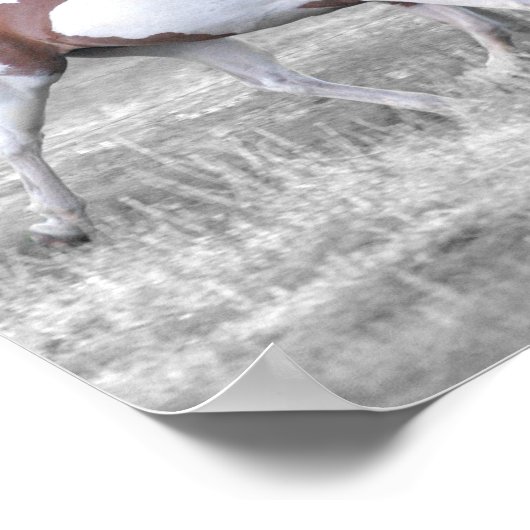 DSC_0110 POSTER (Ecke)