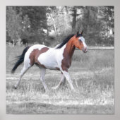 DSC_0110 POSTER (Vorne)