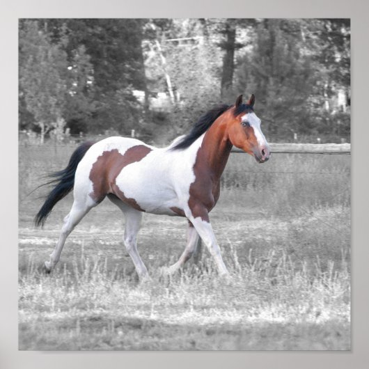 DSC_0110 POSTER (Vorne)