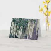 DSC_0119 KARTE (Gelbe Blume)