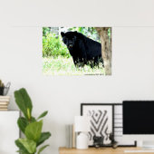 DSC_0235, Fotografie von PAUL GAVIN Poster (Heimbüro)