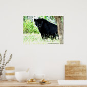 DSC_0235, Fotografie von PAUL GAVIN Poster (Küche)