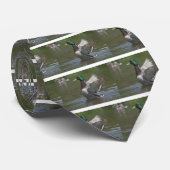 DSC_0504 KRAWATTE (Gerollt)