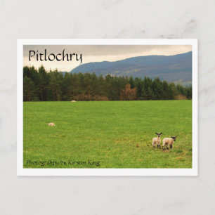 DSC_0522, Pitlochry, Fotografie von Kirsten King Postkarte