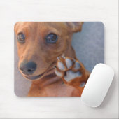 DSC_1359 MOUSEPAD (Mit Mouse)