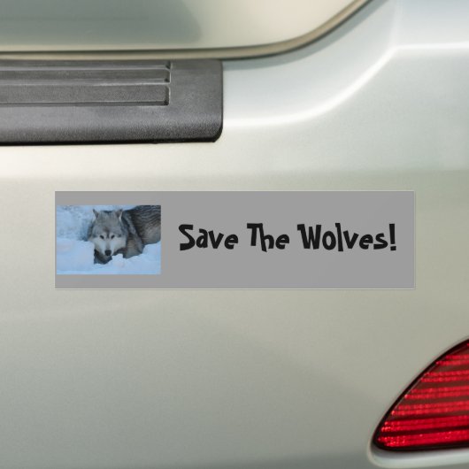 DSC_2225, retten die Wölfe! Autoaufkleber (Auf Auto)