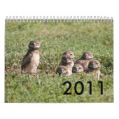 DSC_2816, 2011 KALENDER (Titelbild)