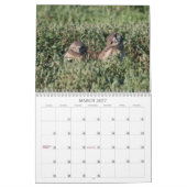 DSC_2816, 2011 KALENDER (Mär 2027)