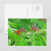 DSC_3480ps.jpg Postkarte (Vorne/Hinten)