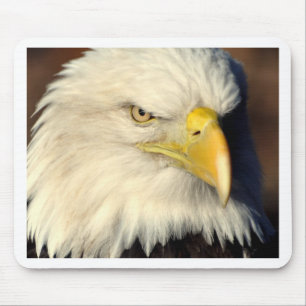 DSC_7279 MOUSEPAD