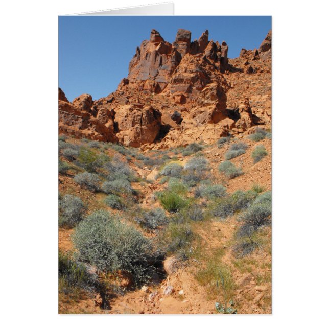 DSCF0344, ~in Ihr words~ (Vorne)