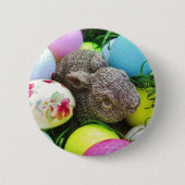 DSCF0438.JPG BUTTON (Vorderseite)