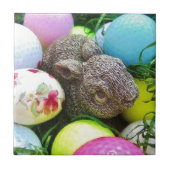 DSCF0438.JPG FLIESE (Vorderseite)