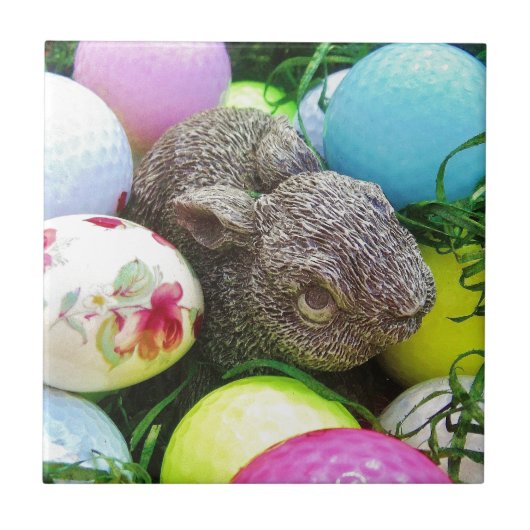 DSCF0438.JPG FLIESE (Vorderseite)