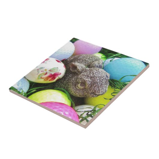 DSCF0438.JPG FLIESE (Seite)