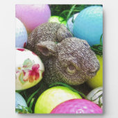 DSCF0438.JPG FOTOPLATTE (Vorderseite)