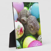 DSCF0438.JPG FOTOPLATTE (Seite)